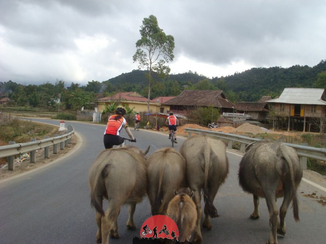 14 Days Vietnam Mountain Cycling Tour