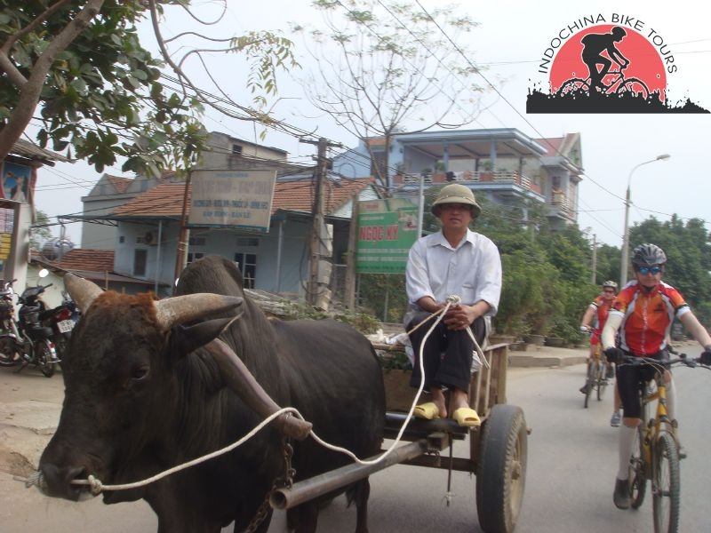 Phnom Penh Cycle To Siem Reap – 6 days