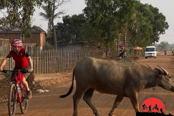 2 Days Vang Vieng Biking To Vientiane