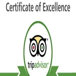 How is about clients reviews about us on Tripadvisor
